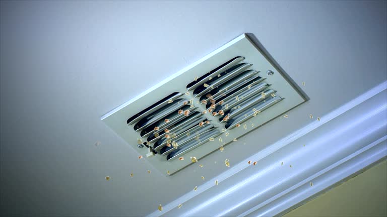 Best Best Air Duct Cleaning Company  in Eureka, IL