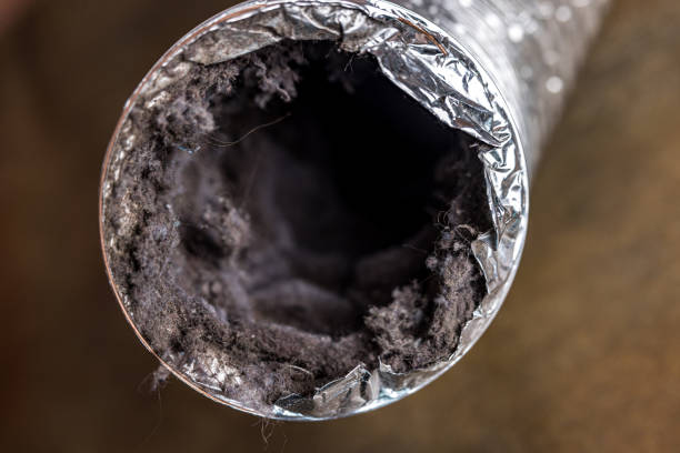 Best Air Duct Cleaning Near Me  in Eureka, IL